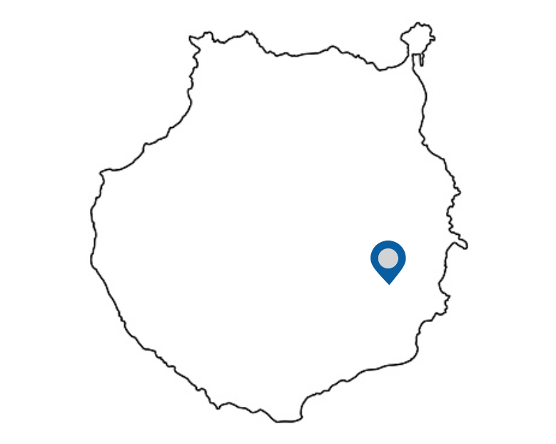 Cursos en Vecindario